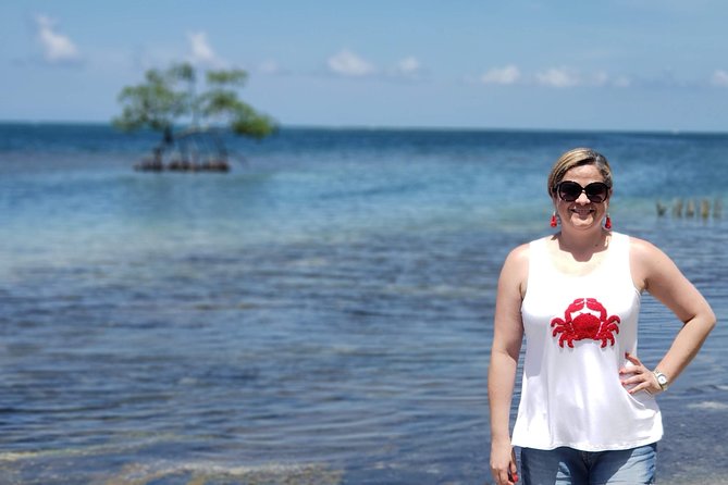 Roatan City Tour-Viewpoints, Landmarks, Chocolate and Rum Tasting - Tour Overview