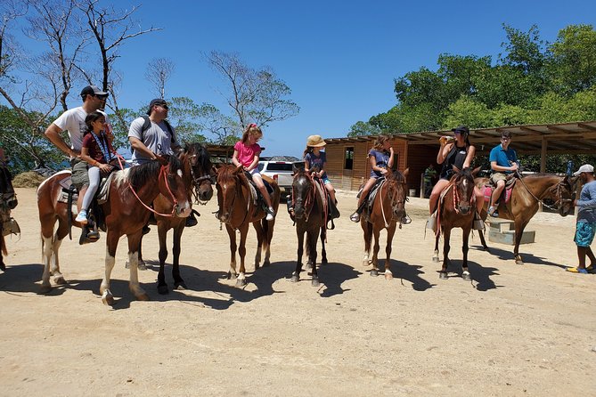 Roatan Excursion: Horseback Ride / Plus Sloth Park and Glass Bottom Boat