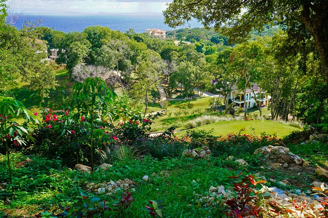 Roatan: Golf Day at the Black Pearl & the Black Iguana - Exploring the Black Iguana Course