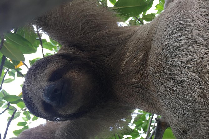 Roatan Manawakie Shore Excursion Eco-Park With Snorkel Adventure
