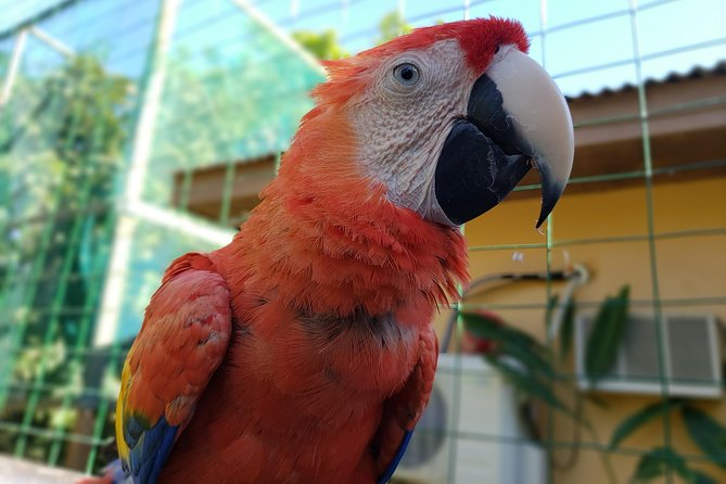 Roatan Shore Excursion - the All in One Roatan Adventure - Meeting and Pickup Details