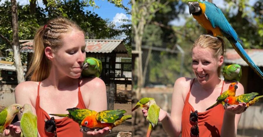 Rocklands Bird Sanctuary & Bird Farm With Private Transport - Tour Overview