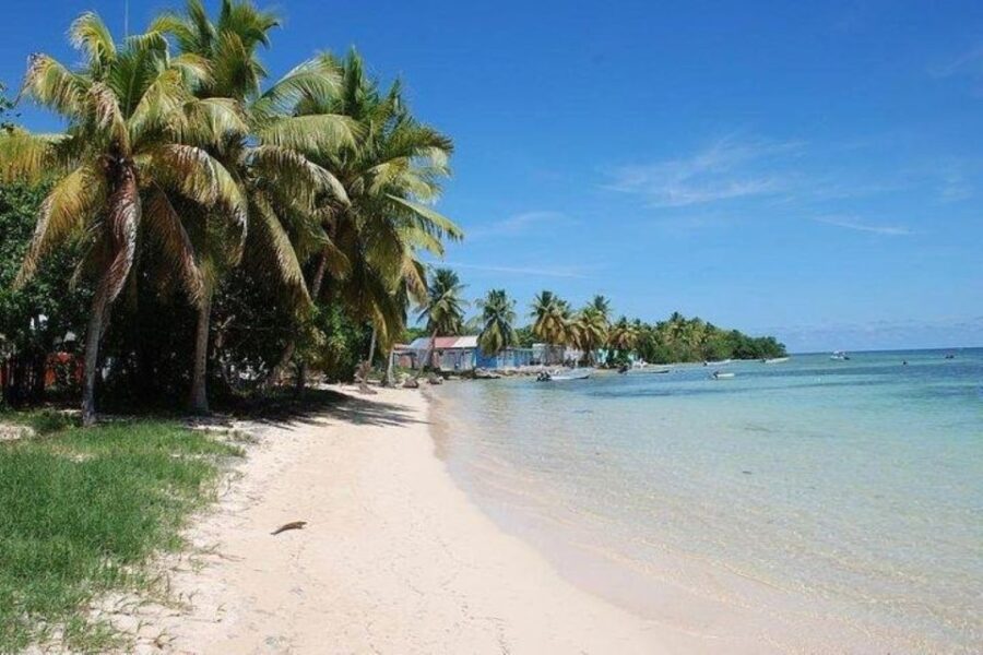 2 Best Snorkeling Experiences In Roseau
