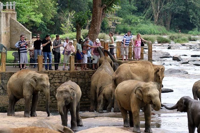 Round Tours,Nature and Wildlife Tours,Culture and Heritage Tours,Adventure Tours