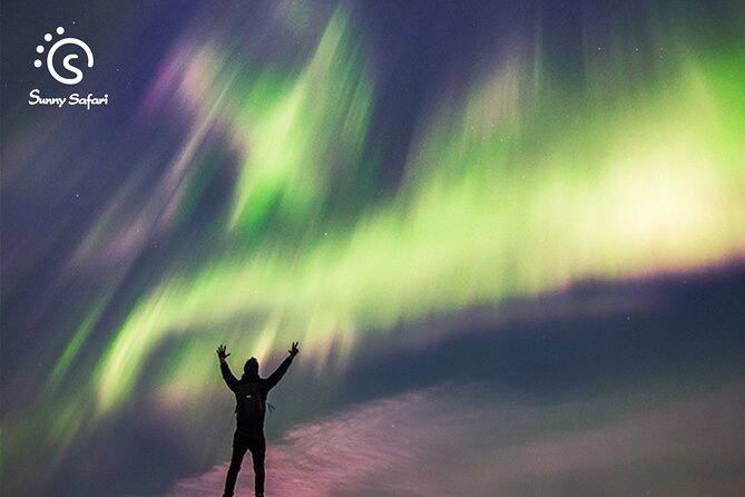 Rovaniemi Northern Lights Expedition