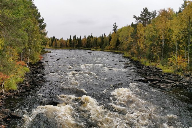 Rovaniemi: Vaattunkikönkä Nature Trail Hiking Tour - Inclusions