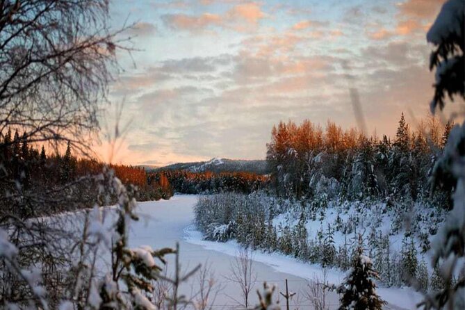 Rovaniemi: Winter Wonderland Vikaköngäs Hiking Tour & BBQ - Explore the Winter Wonderland