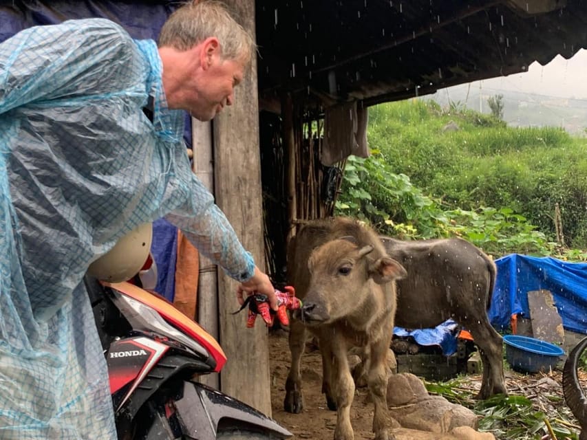 2 Best Hiking And Trekking Tours In Lao Chai Village