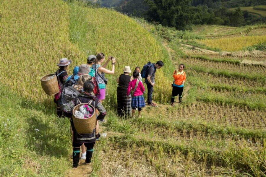 Sa Pa: Muong Hoa Valley Trek and Local Ethnic Villages Tour