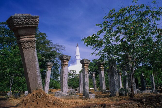 Sacred City of Anuradhapura From Colombo