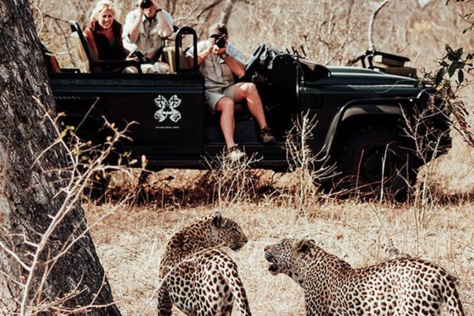 Safari In Jhalana Leopard Conservation Reserve, Jaipur