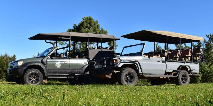 3 Best Tours In Eastern Cape