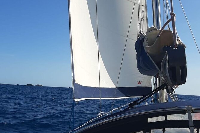 Sailing Trip in Santa Ponsa