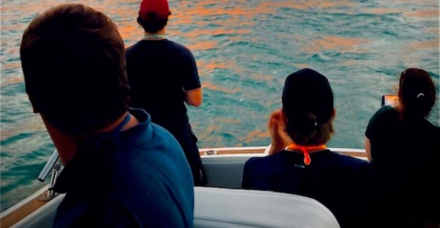 Saint Kitts & Nevis: Private Sunset Cruise - Overview and Pricing