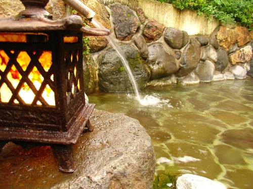 Sakaya Ryokan Yoshina Onsen - Property Overview