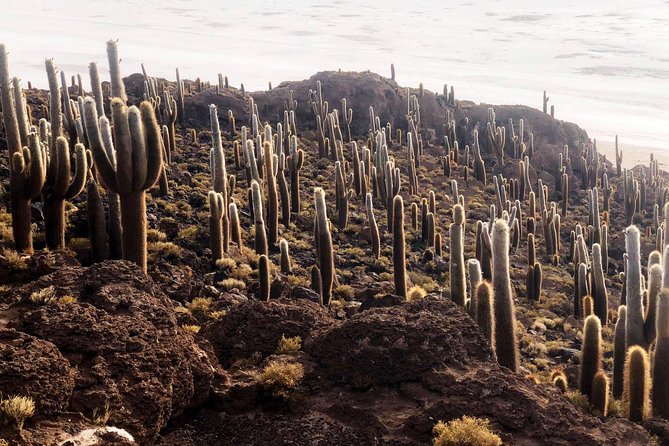 Salar De Uyuni. 2 Days 1 Night. Spanish Guide. Volcan Tunupa Route. Private Tour!