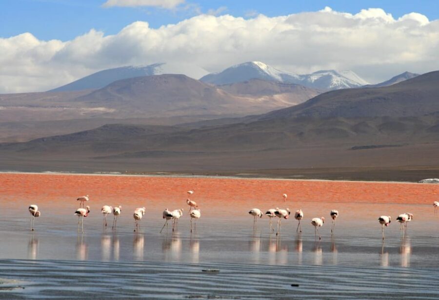 Salar De Uyuni (3 Days) Spanish-Speaking Guide - Tour Overview