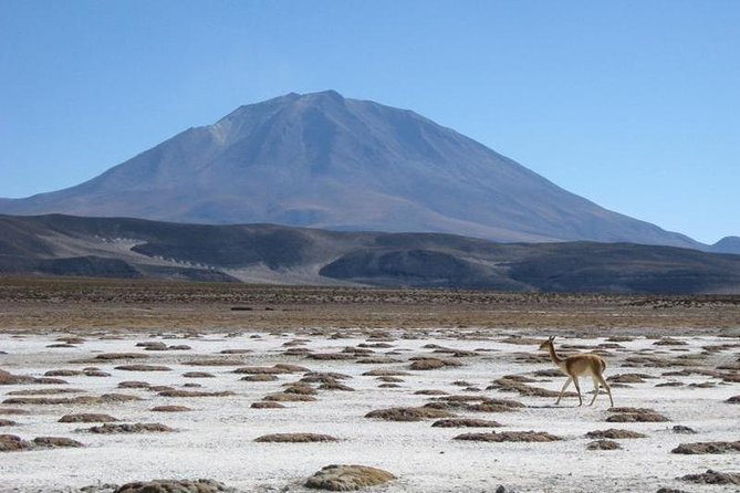 Salar De Uyuni With Lodging – 2 Full Days – With Minor Lagoons