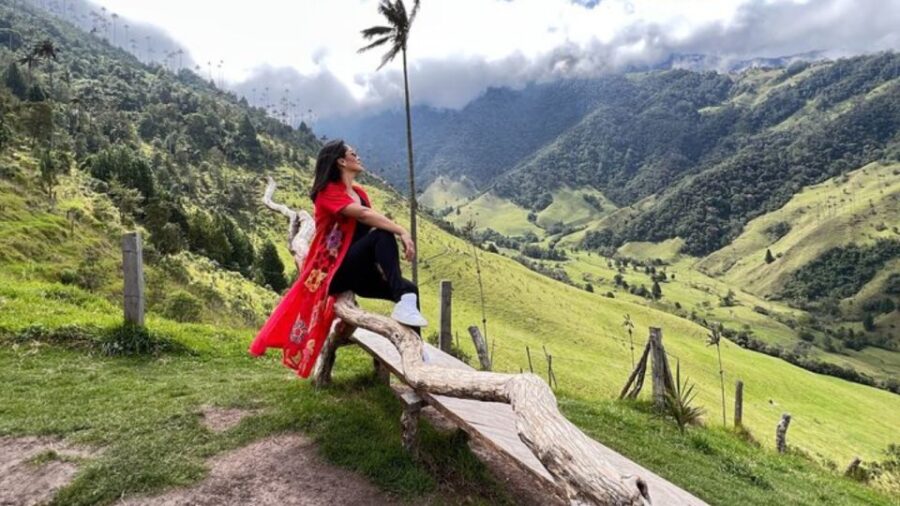 Salento, Cocora and Hot Springs Tour From Pereira or Armenia