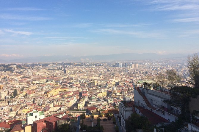 Salerno Shore Excursion: Private Naples Day Trip - Personalized Experience With Guide