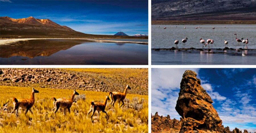 Salinas Lake – National Reserve PRIVATE TOUR