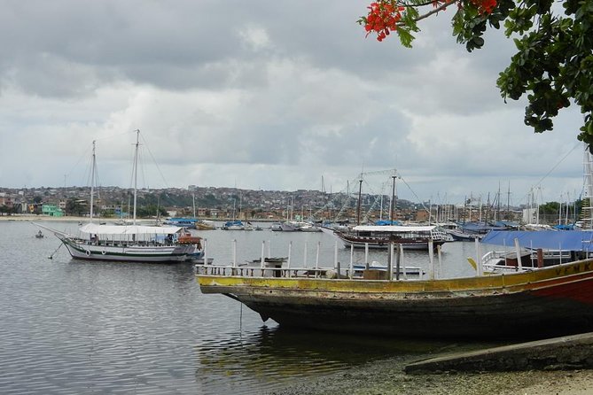 Salvador Lower City Tour - Half a Day to Experience a Different Salvador. - Basilica Do Senhor Do Bonfim