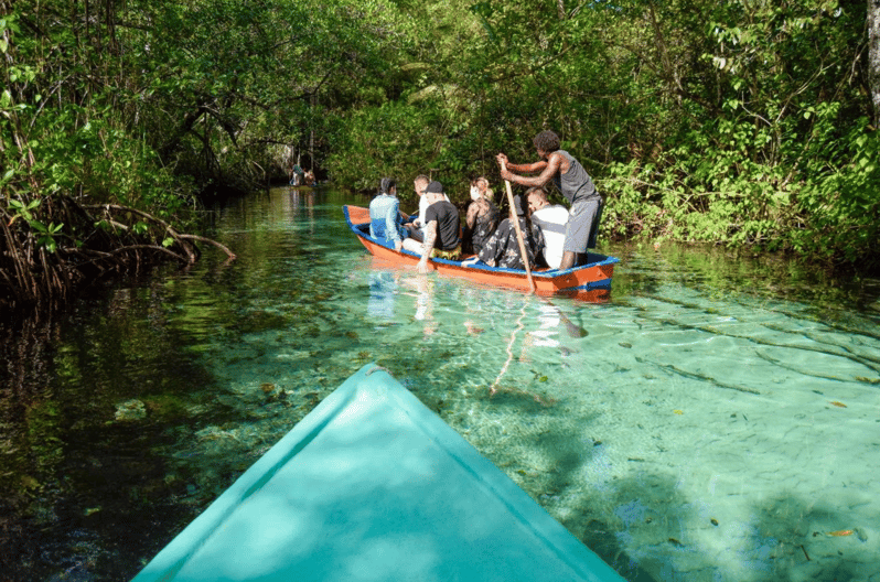 Samana: Full Day Samana Amazing Tour Punta Cana