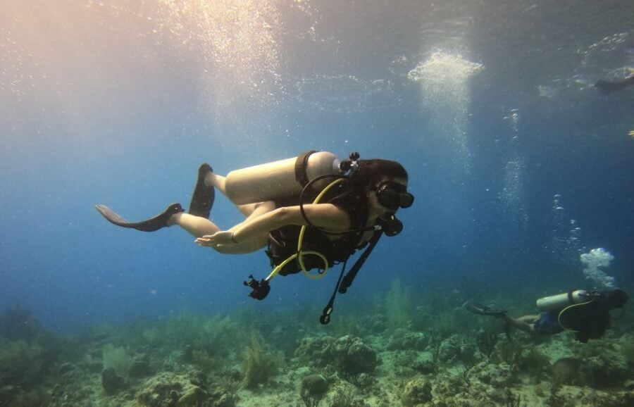 San Andrés: Guided Scuba Diving Trip With Hotel Transfer