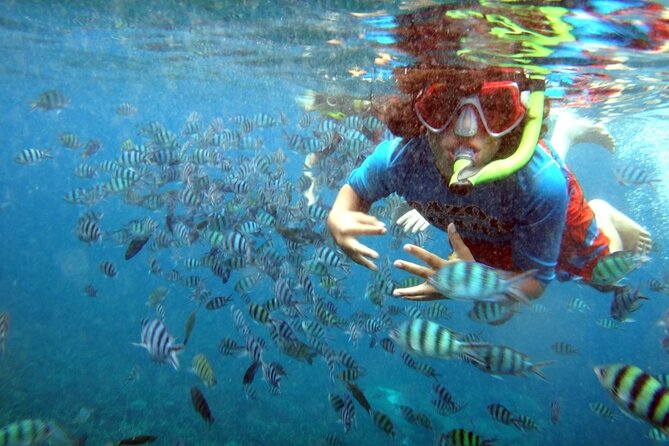 San Juan Guided Snorkeling Experience - With Transport 8am-3pm - Customer Reviews and Feedback