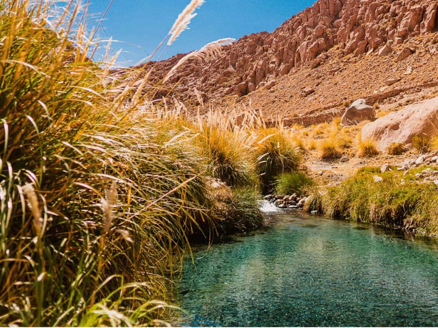 SAN PEDRO DE ATACAMA: PURITAMA HOT SPRINGS WITH ENTRANCE FEE - Activity Overview