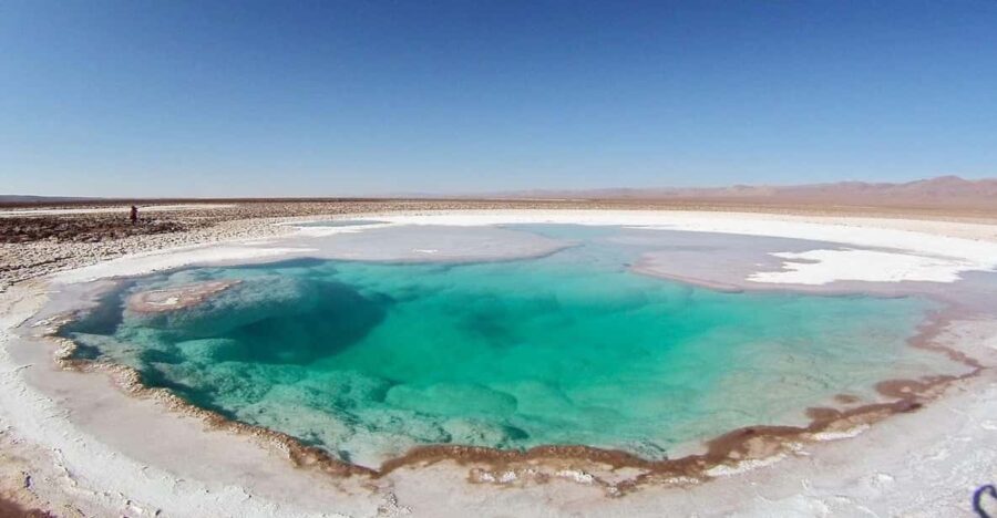 San Pedro De Atacama: Trip to Hidden Lagoons of Baltinache
