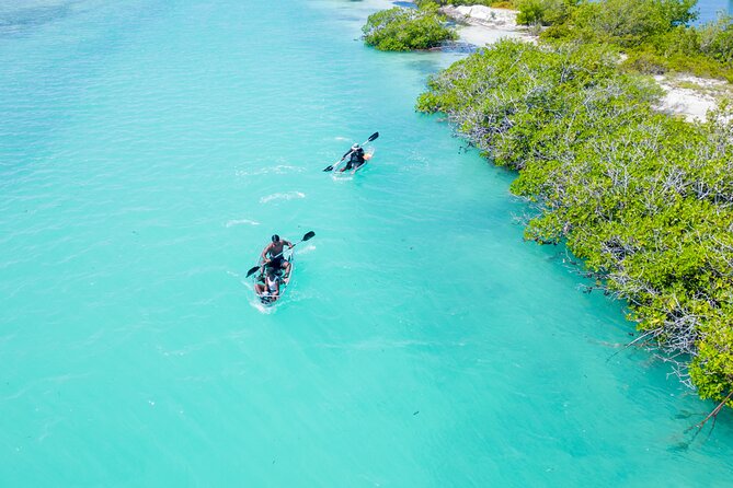Sand Bar and Mangrove Forest Kayak Tour Grand Turk Island
