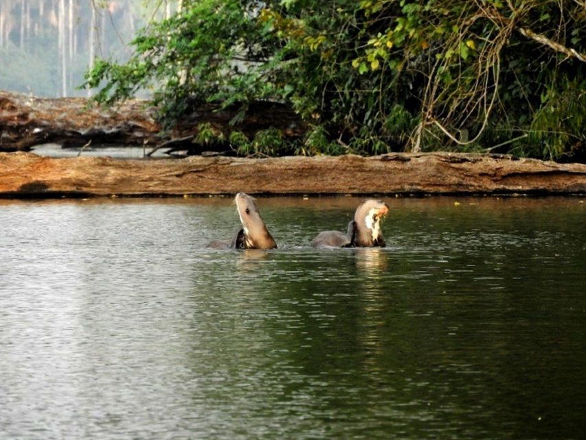 5 Best Full-Day Tours In Puerto Maldonado