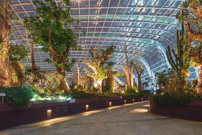 Sands SkyPark+Gardens by the Bay(CloudForest&Super Tree)Transfers