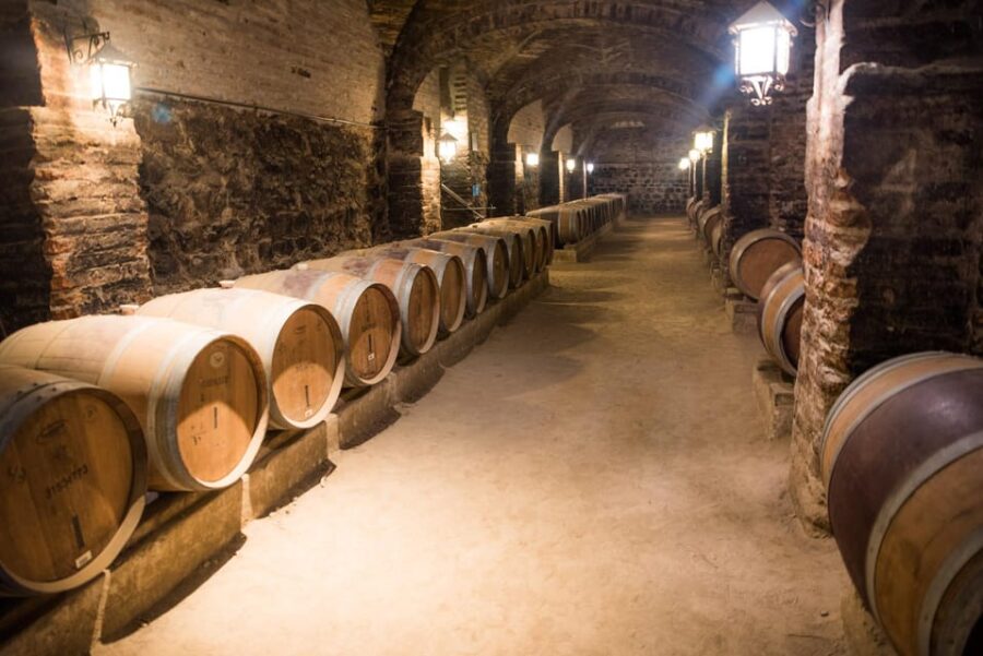 Santa Rita: Tour + Premium Wine Tasting + Private Transport