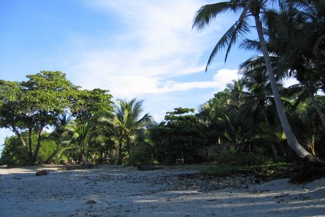 Santa Teresa Beach To/ From Tamarindo Beach – PRIVATE TRANSFER
