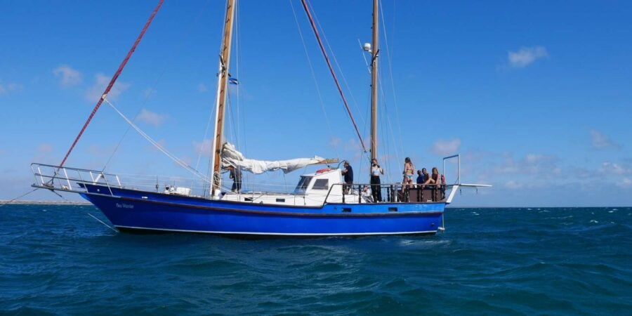 2 Best Tours In Santa Maria Cape Verde