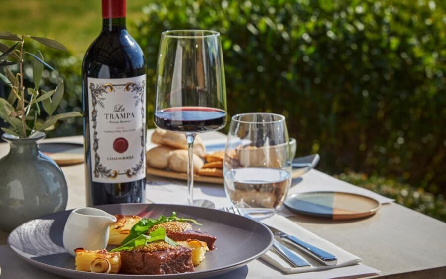 Santiago: Casablanca Valley Wine Tour With Lunch - Itinerary Highlights