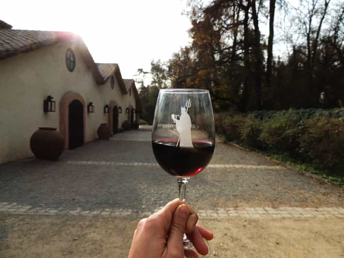 Santiago: Concha Y Toro and Undurraga Vineyards Tour