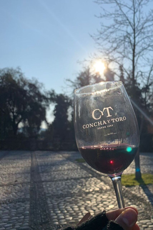 Santiago: Concha Y Toro Ticket and Tour With Wine Tasting - Tour Overview