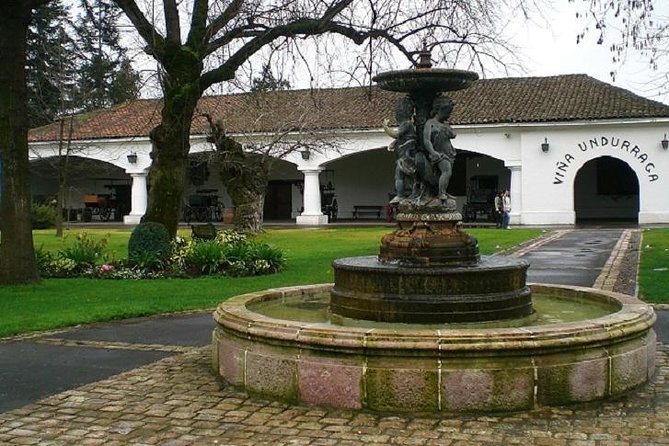 Santiago: Full Day Visiting Santa Rita & Undurraga Vineyards. Entraces Included