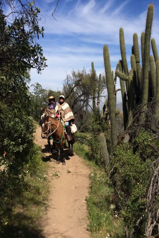 Santiago: Private Andes Foothills Horseback Riding. Half Day