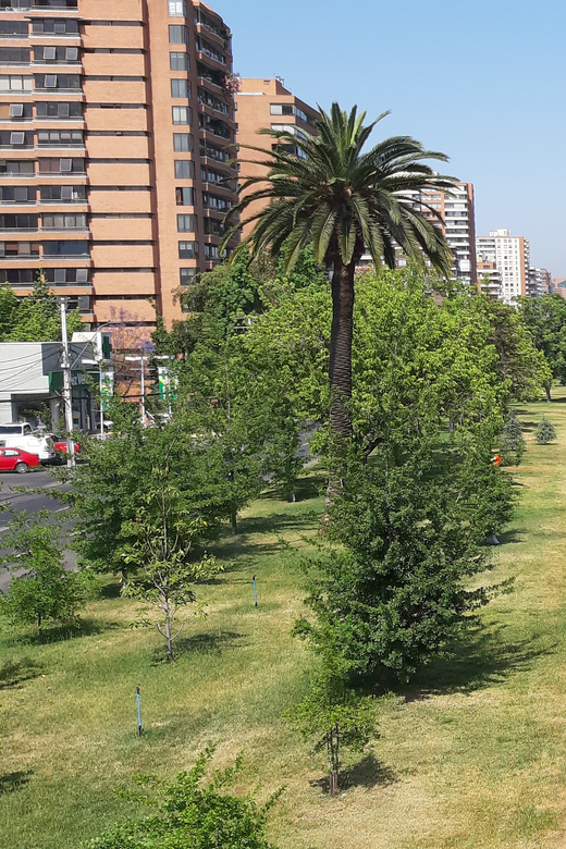 Santiago: Private Half-Day City Tour