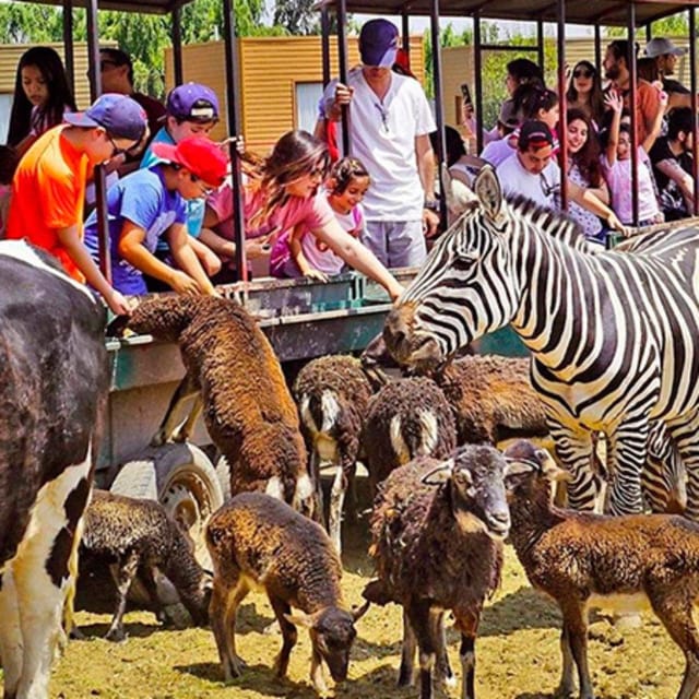 Santiago, Safari Park
