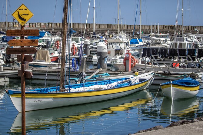 Sao Miguel: Azorean Whalers Heritage Tour
