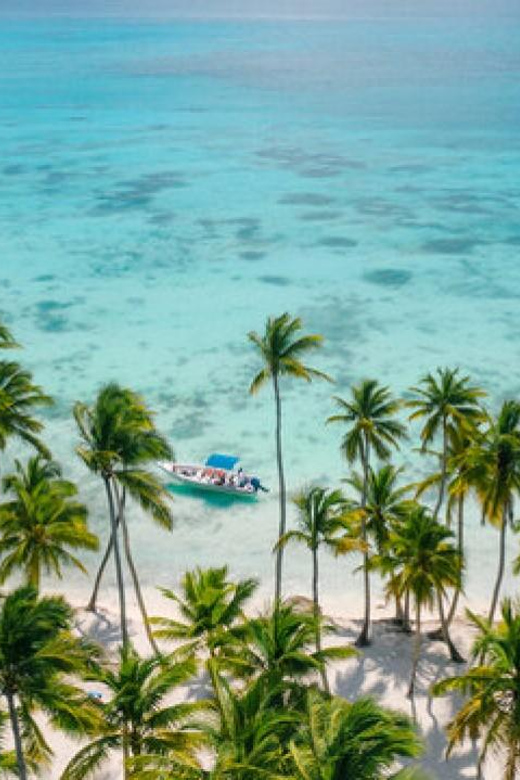 Saona Island: Catamaran Tour to a Dream Beach, All Inclusive