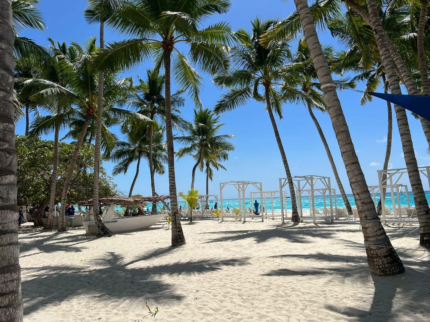 5 Best Lunch Experiences In Higuey