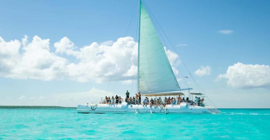 Saona Island From Punta Cana With Transportation Included
