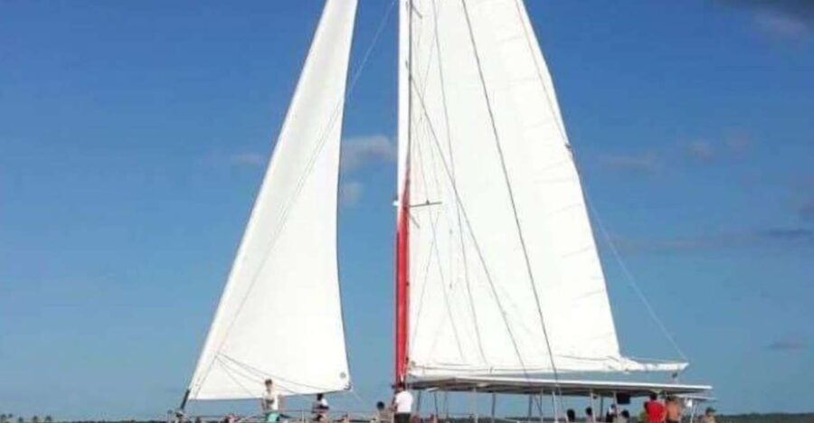 Saona Island: Full-Day Boat Tour With Drinks & Buffet Lunch - Inclusions