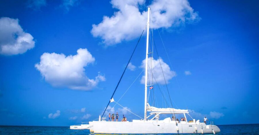 Saona Island: Incredible Day With Buffet From Punta Cana - Tour Overview and Pricing